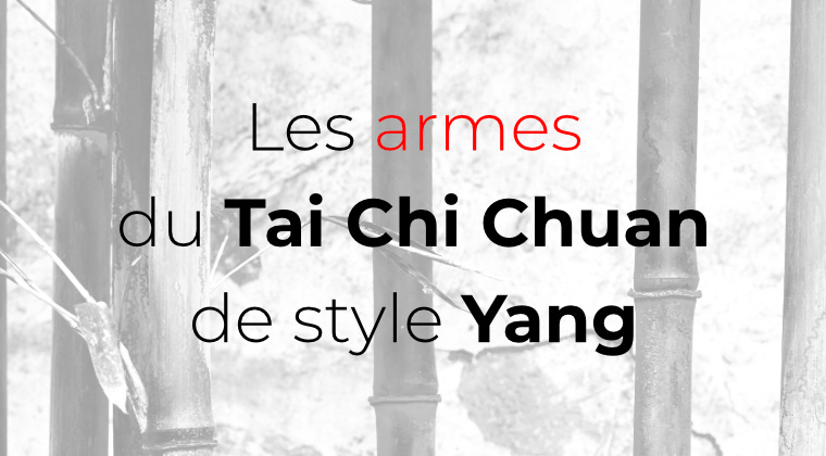 formation sur les armes du tai chi chuan de style yang