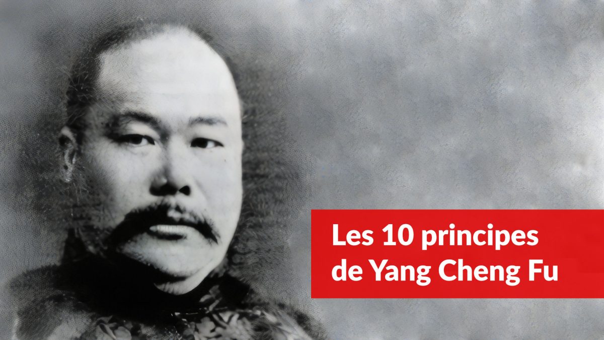 10 principes de yang cheng fu tai chi